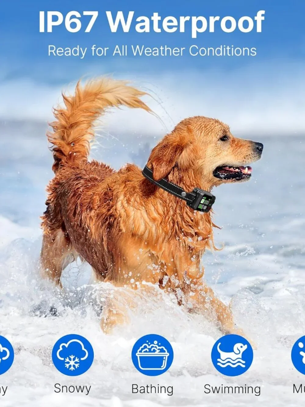GPS Wireless Dog Fence System